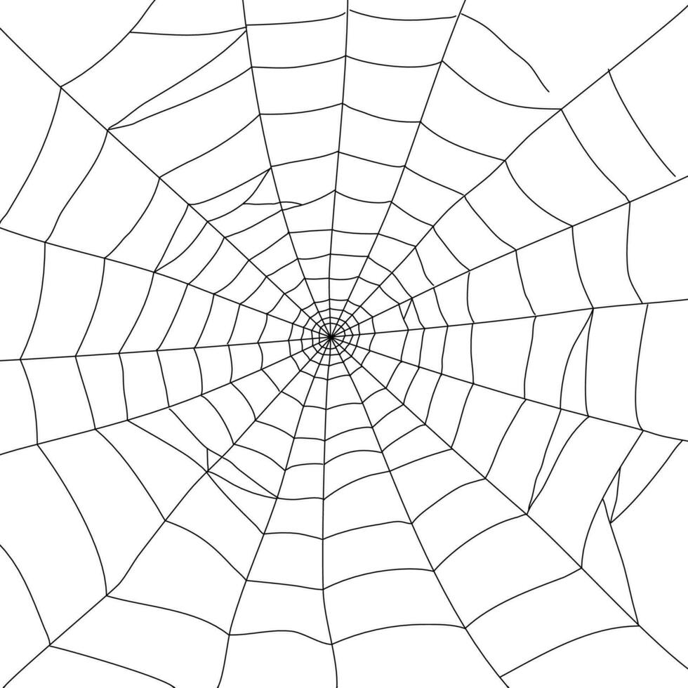 radial toile d'araignée élément vecteur