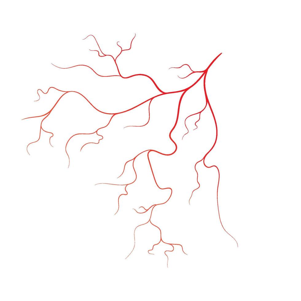 illustration de conception d'icône de symbole de vecteur de veine humaine