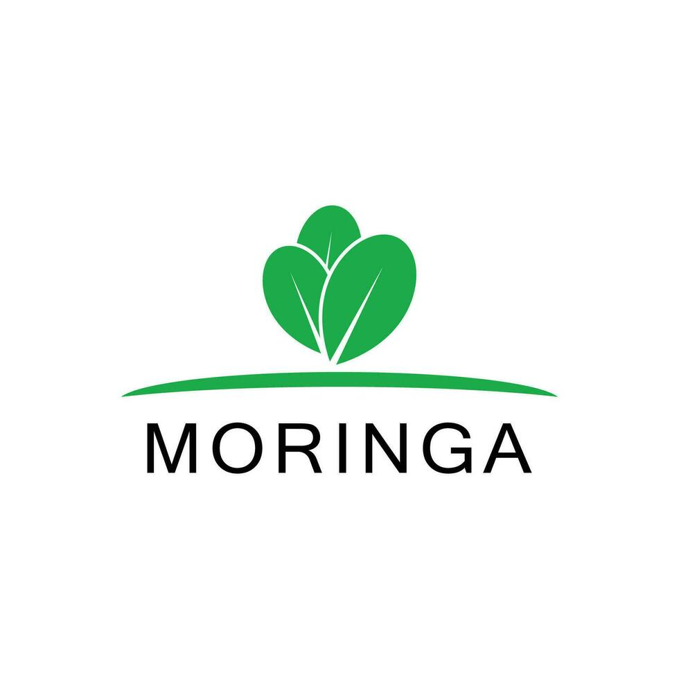 moringa logo vecteur modèle symbole la nature