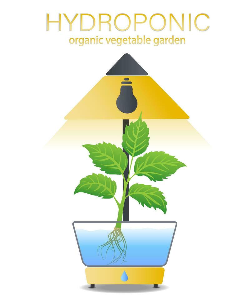 portable hydroponique aéroponique système pour respectueux de la nature croissance de vert laitue, des légumes et herbes. avec automatique arrosage système et violet phyto éclairage. phytolampe. biologique légume jardin vecteur