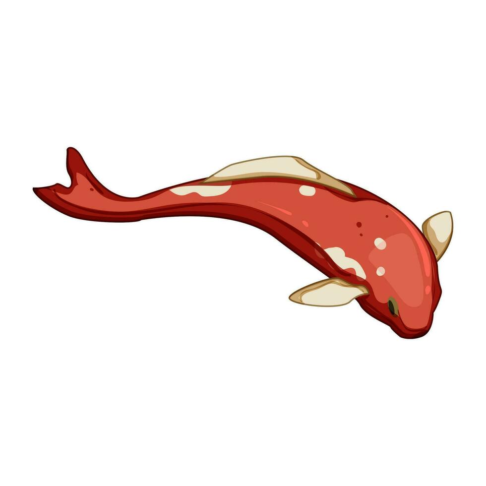asiatique koi poisson carpe dessin animé vecteur illustration