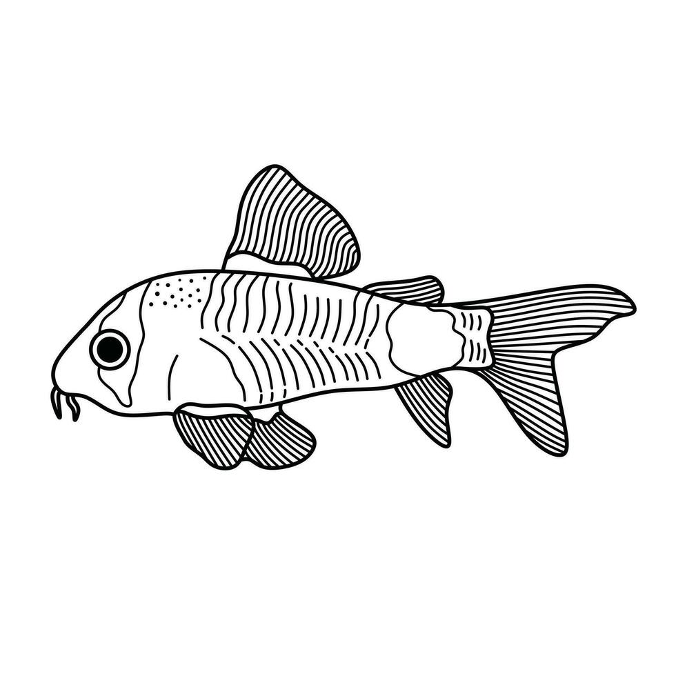main tiré dessin animé vecteur illustration corydoras Panda poisson icône isolé sur blanc Contexte