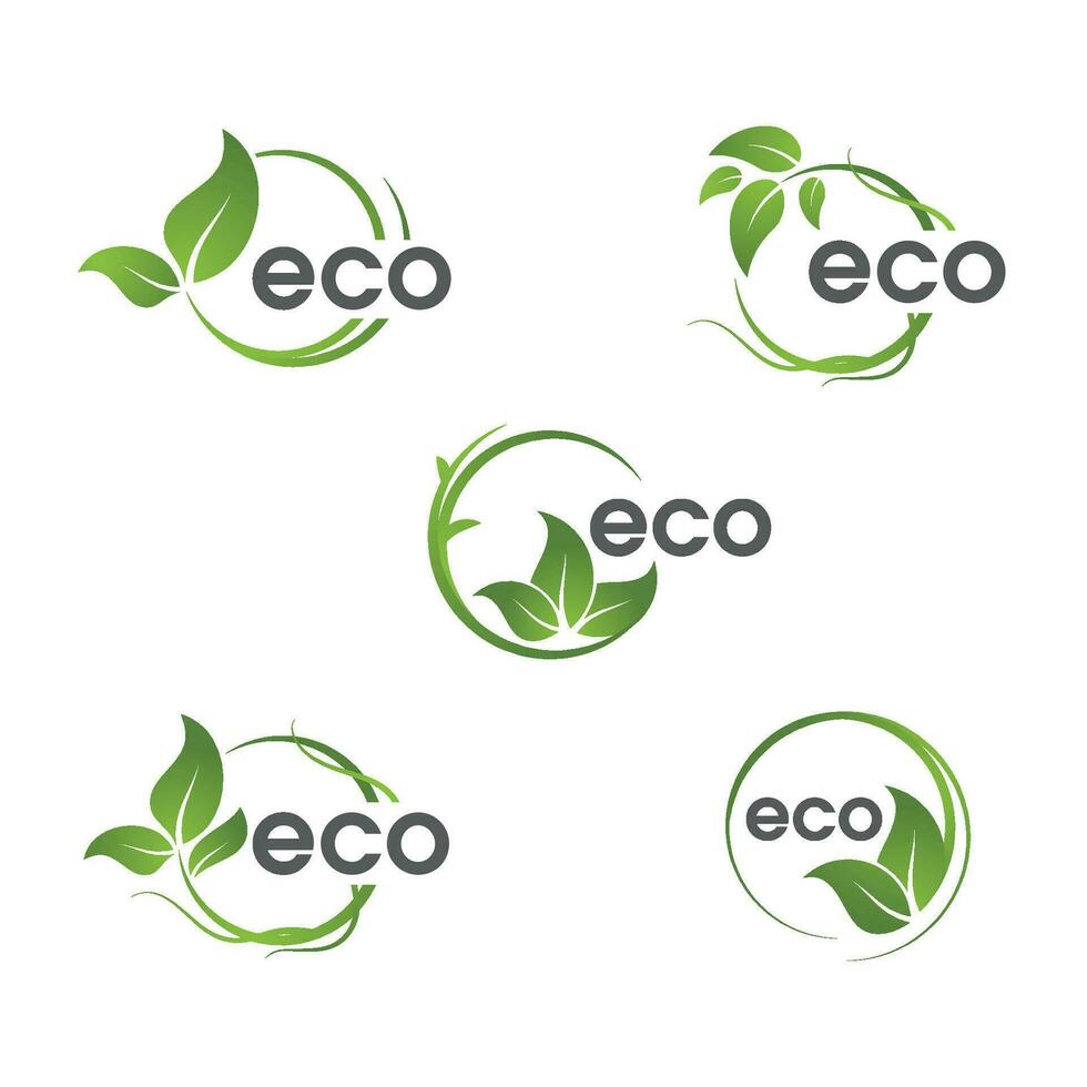 éco de vert arbre feuille écologie vecteur