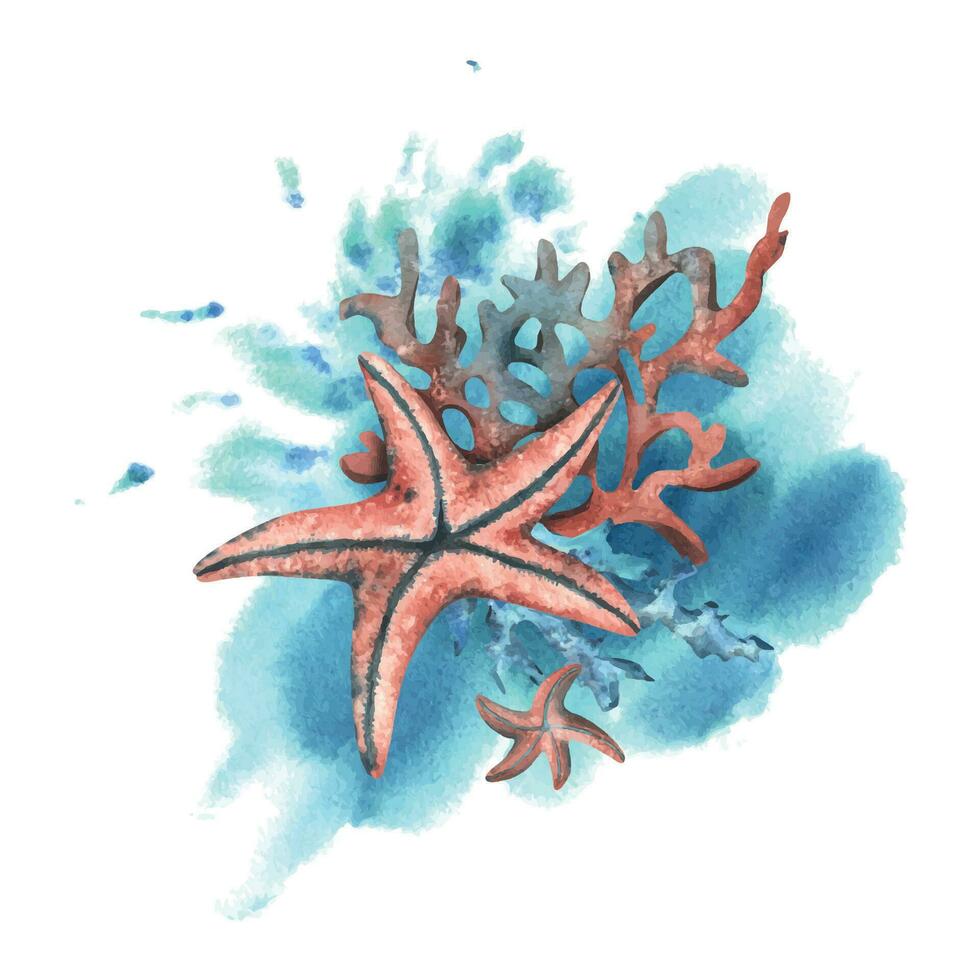 sous-marin monde clipart avec mer animaux étoile de mer, coquilles, corail et algues. main tiré aquarelle illustration. isolé composition sur une blanc Contexte vecteur