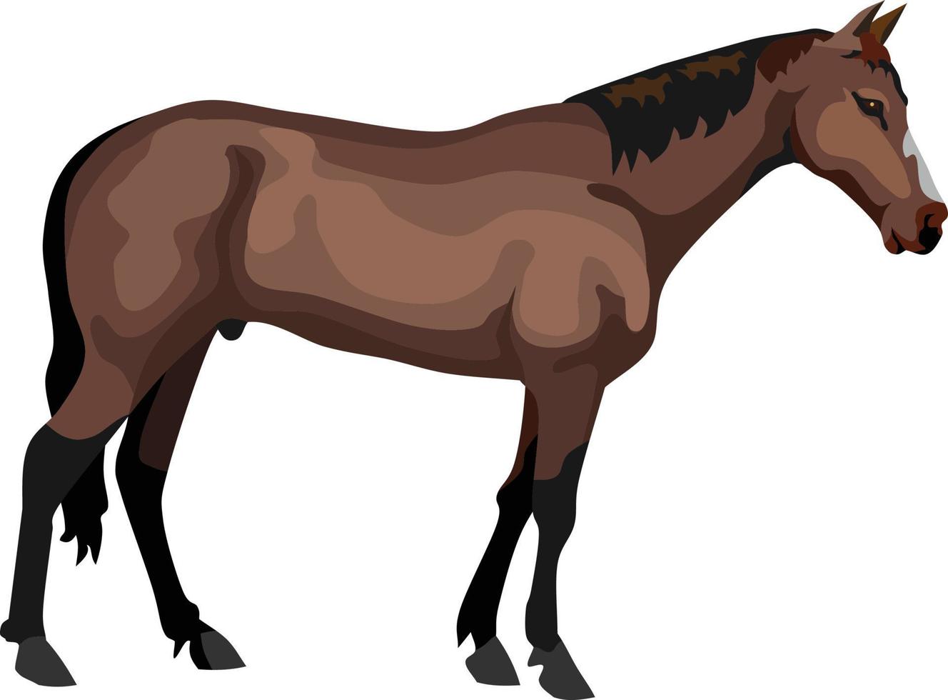 cheval mammifère ferme animal vecteur