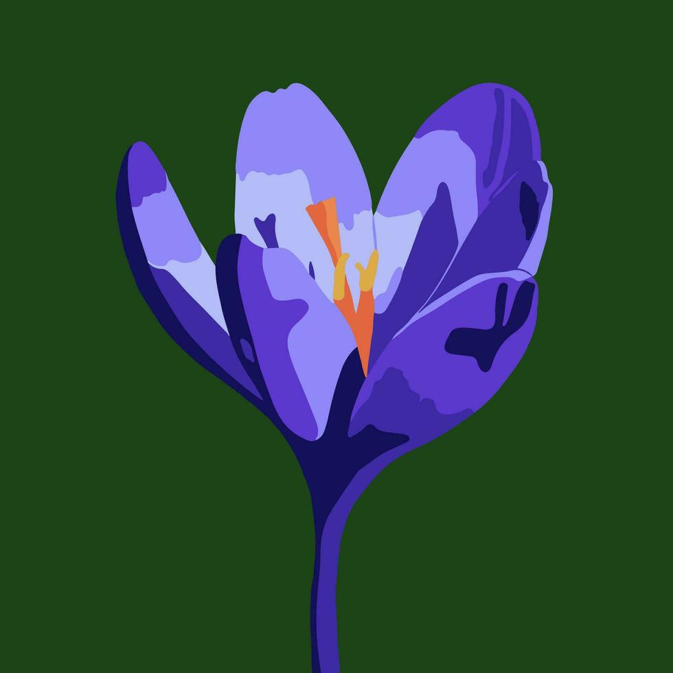 vecteur illustration de une crocus fleur sur une vert Contexte.