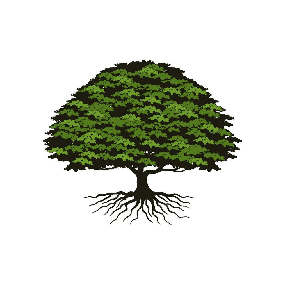 chêne arbre logo, gros arbre les racines vecteur