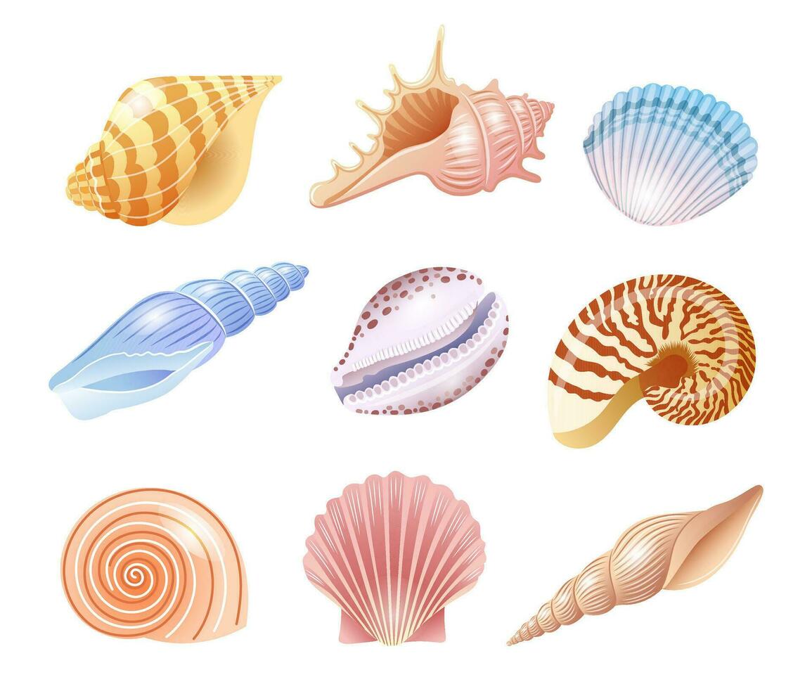 ensemble de des illustrations de mer coquilles de différent sortes dans délicat nuances. vecteur illustration