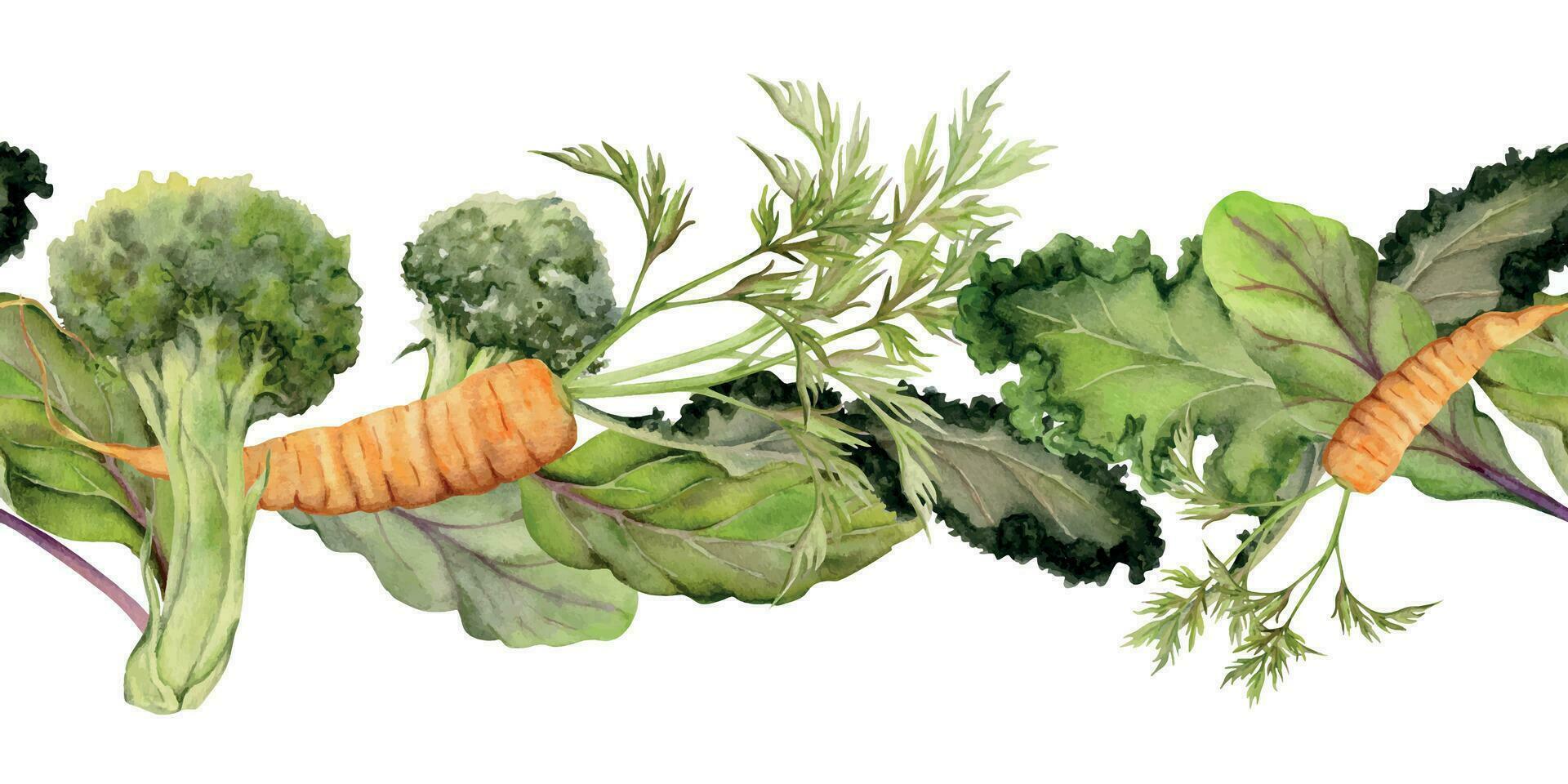 main tiré aquarelle des légumes et vert salade mélanger pour régime, en bonne santé mode de vie, végétalien cuisson. illustration sans couture frontière isolé sur blanc Contexte. conception affiche, imprimer, site Internet, carte, menu vecteur