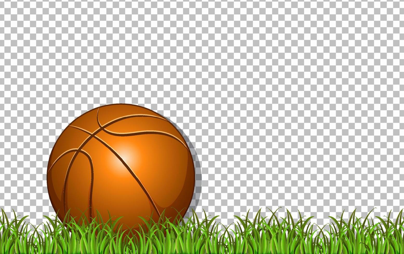 basket-ball et herbe sur fond de grille vecteur