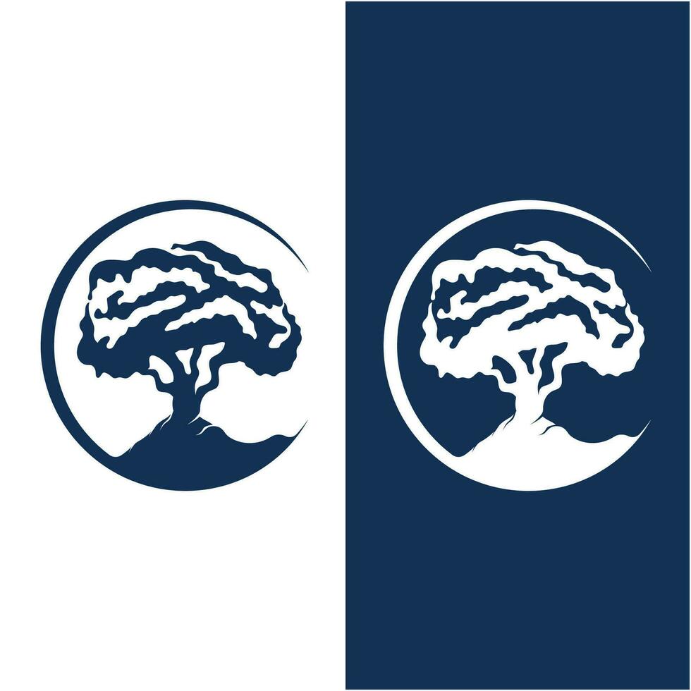bonsaï logo modèle vecteur illustration conception