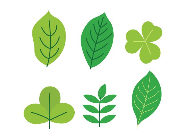 Clipart feuille verte vecteur