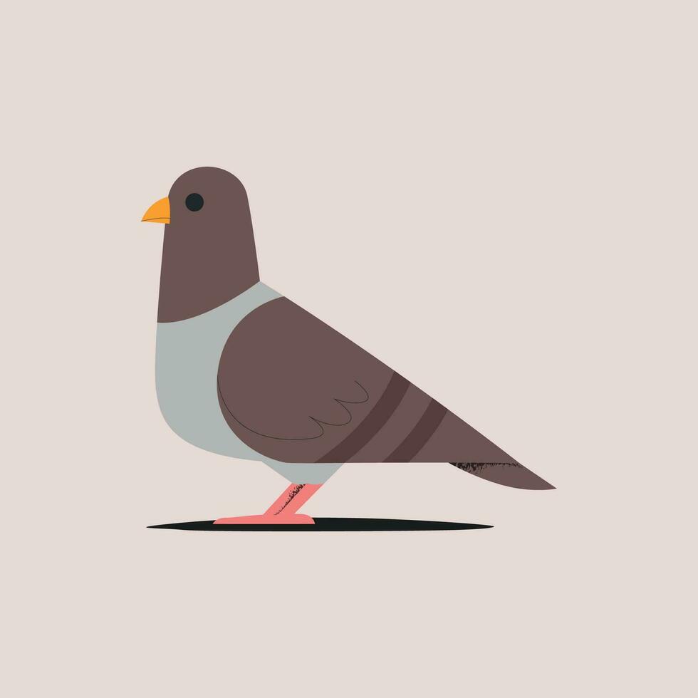 Pigeon vecteur illustration. Pigeon dans plat style.