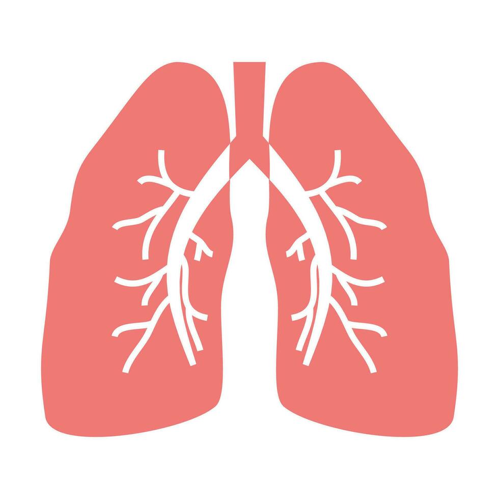 vecteur poumons Humain organe vecteur illustration