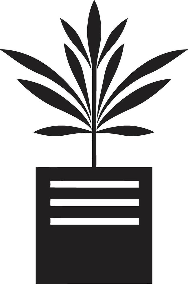 botanique beauté iconique plante vecteur à feuilles persistantes élégance plante logo conception