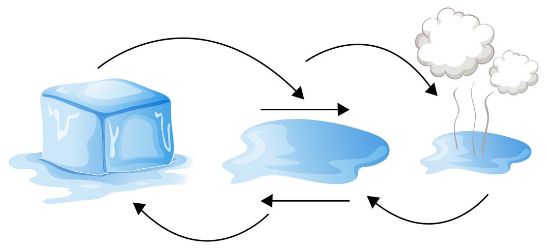 Diagramme montrant comment l&#39;eau change de forme vecteur