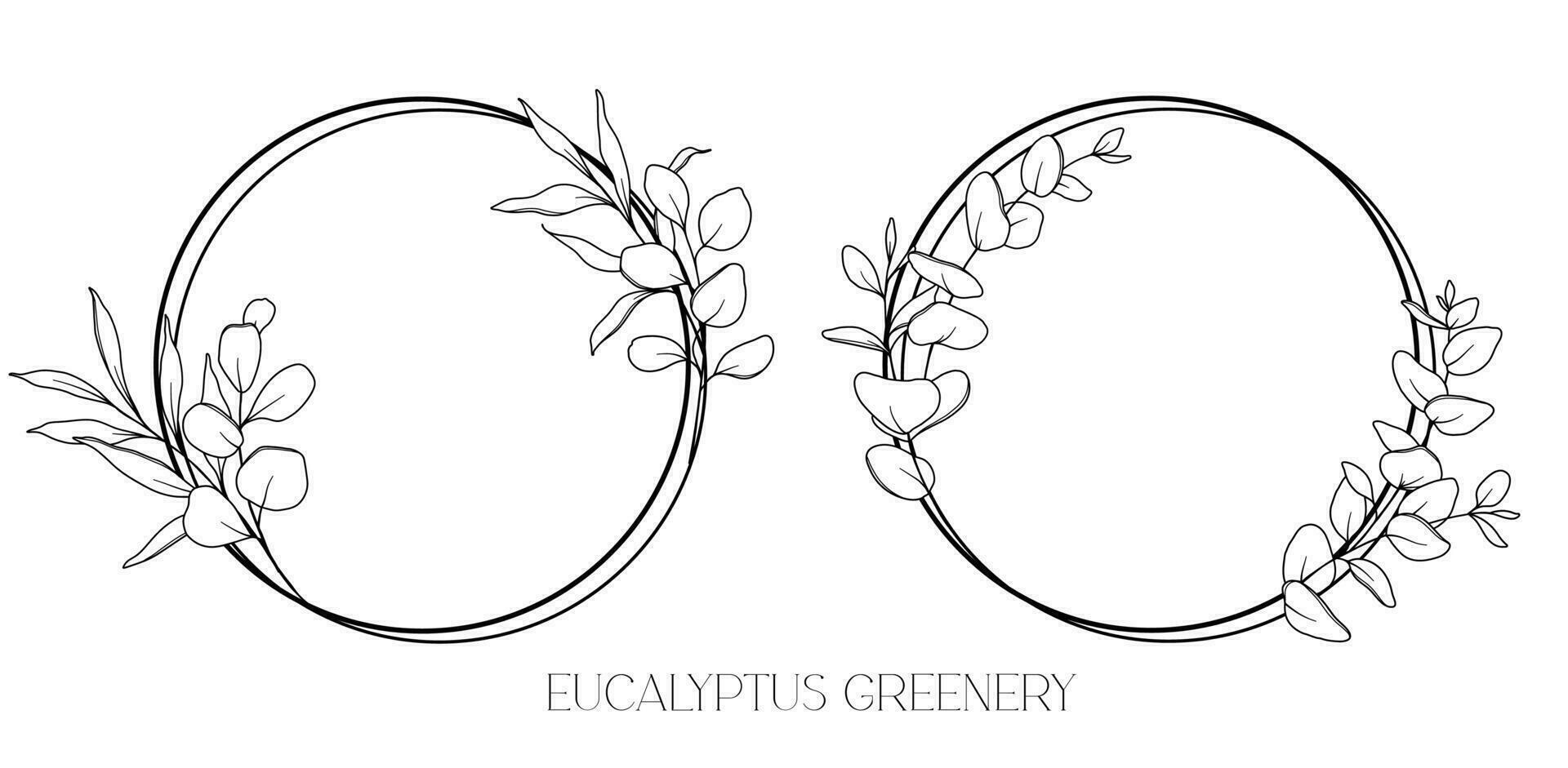 eucalyptus ligne dessin. noir et blanc floral cadres. floral ligne art. bien ligne eucalyptus illustration. main tiré contour verdure. botanique coloration page. mariage invitation fleurs vecteur