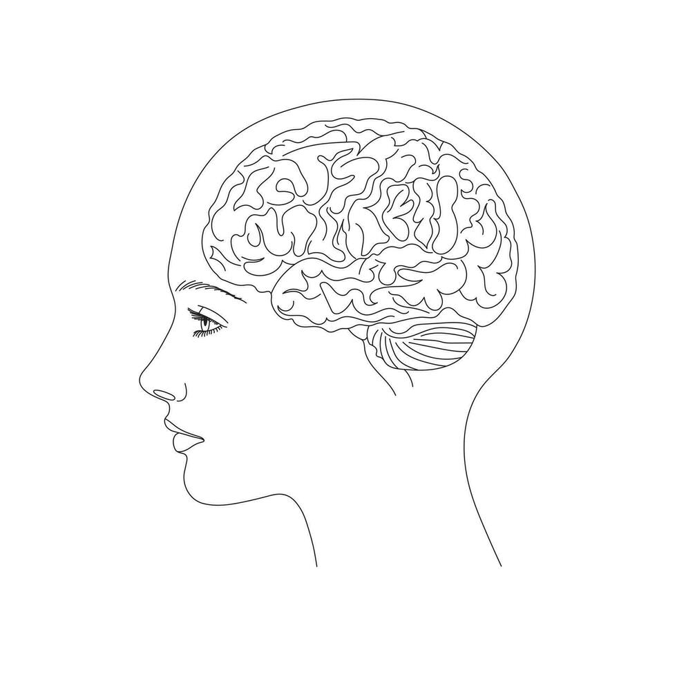 femme, magnifique fille, cerveau dans tête concept ligne art vecteur plat conception isolé sur blanc Contexte. vecteur illustration