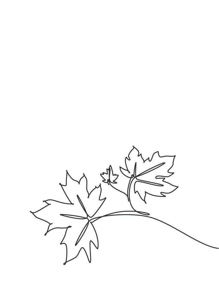 une seule ligne de dessin d'illustration vectorielle de feuille d'érable. feuilles tropicales style minimaliste, concept de motif floral abstrait pour affiche, impression de décoration murale. conception de dessin graphique en ligne continue moderne vecteur
