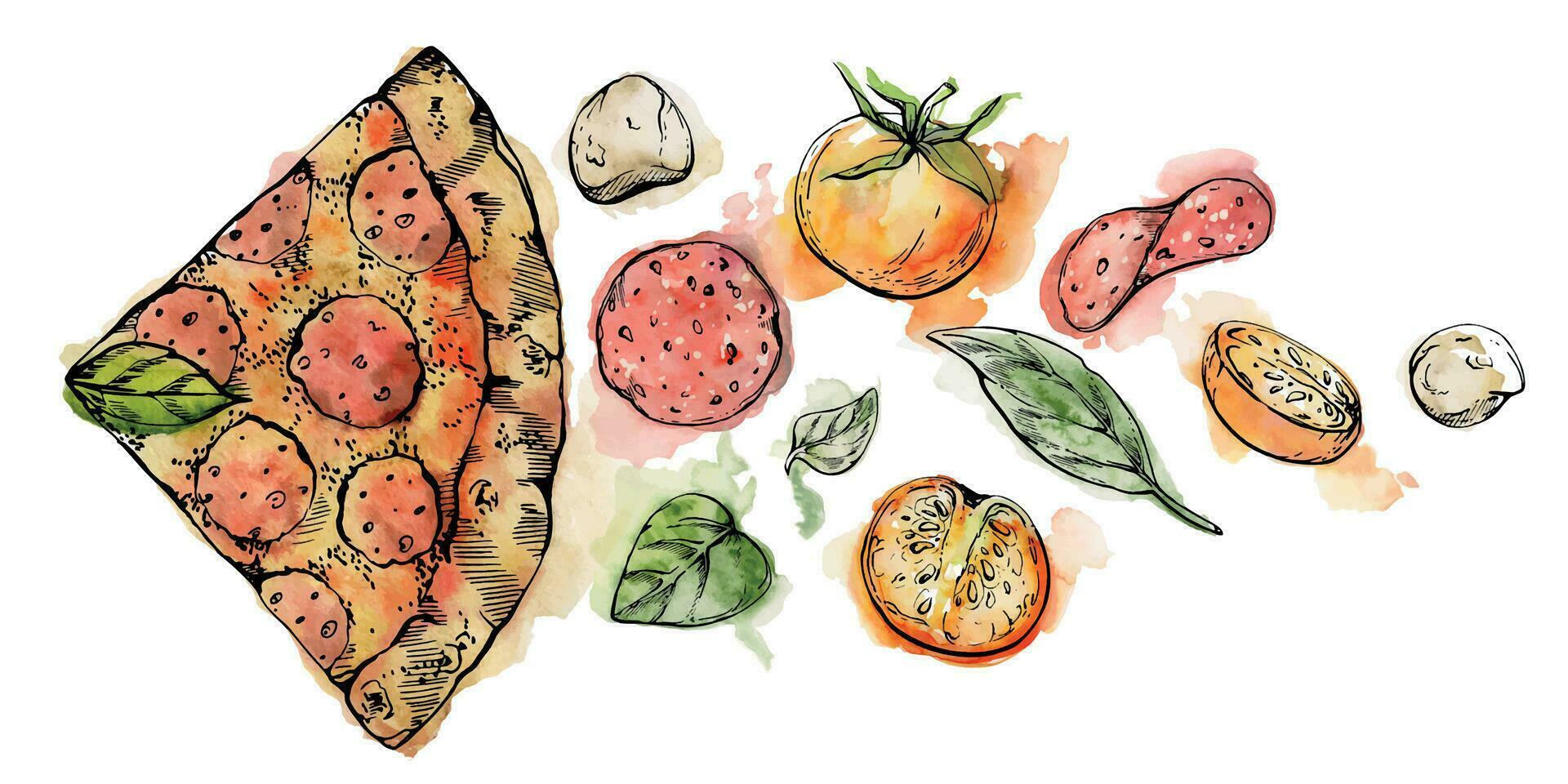 main tiré aquarelle encre illustration. pepperoni Pizza tranche, mozzarella tomate basilic, italien cuisine. composition isolé sur blanche. conception restaurant menu, café, nourriture magasin ou emballer, prospectus imprimer. vecteur