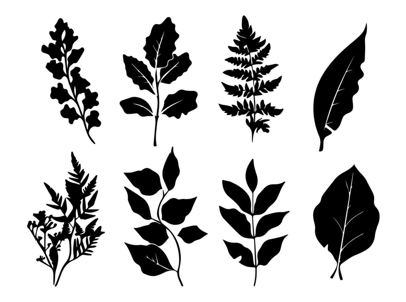 ensemble de noir silhouettes de feuilles et fleurs. vecteur illustration.