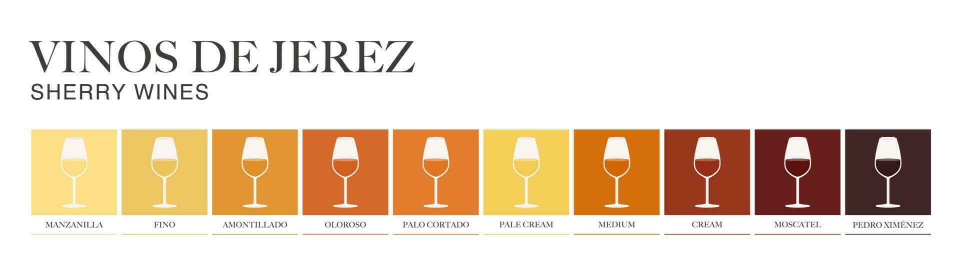 Sherry du vin intervalle écrit dans Espagnol. illustré guider pour barres, Restaurants, touristique guides, encyclopédies vecteur