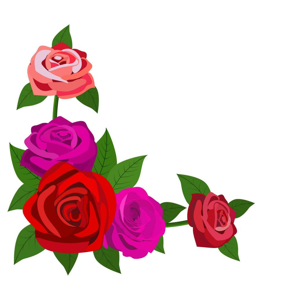 rouge des roses avec feuilles isolé sur une blanc Contexte vecteur