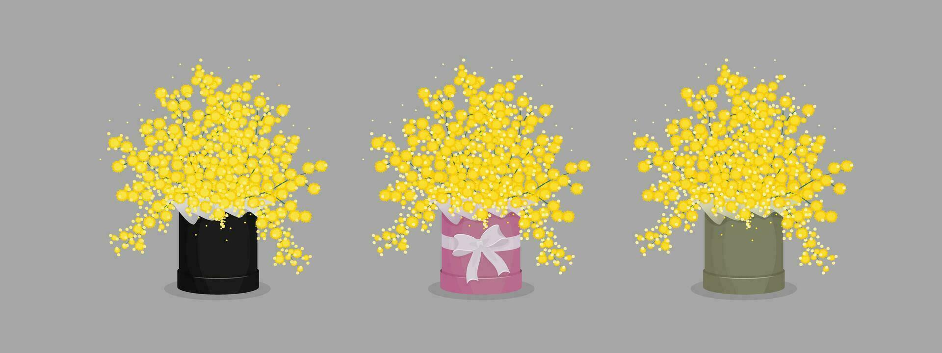 une ensemble de Trois fleur des boites. bouquets avec mimosa vecteur