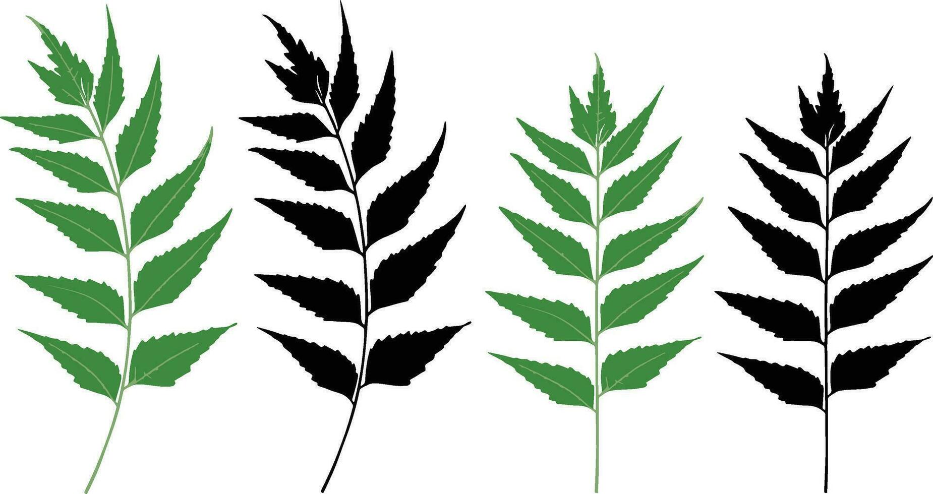 quatre différent les types de vert noir et blanc neem feuilles une vecteur concevoir montré