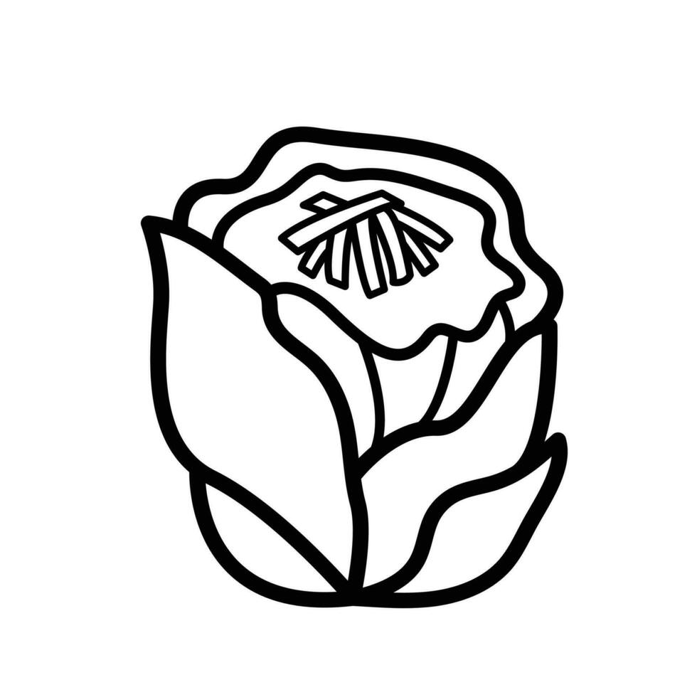 shumai siu mai siomay vecteur icône décrit isolé sur plaine horizontal blanc Contexte. Facile plat minimaliste chinois nourriture dimsum dessin avec dessin animé art style.
