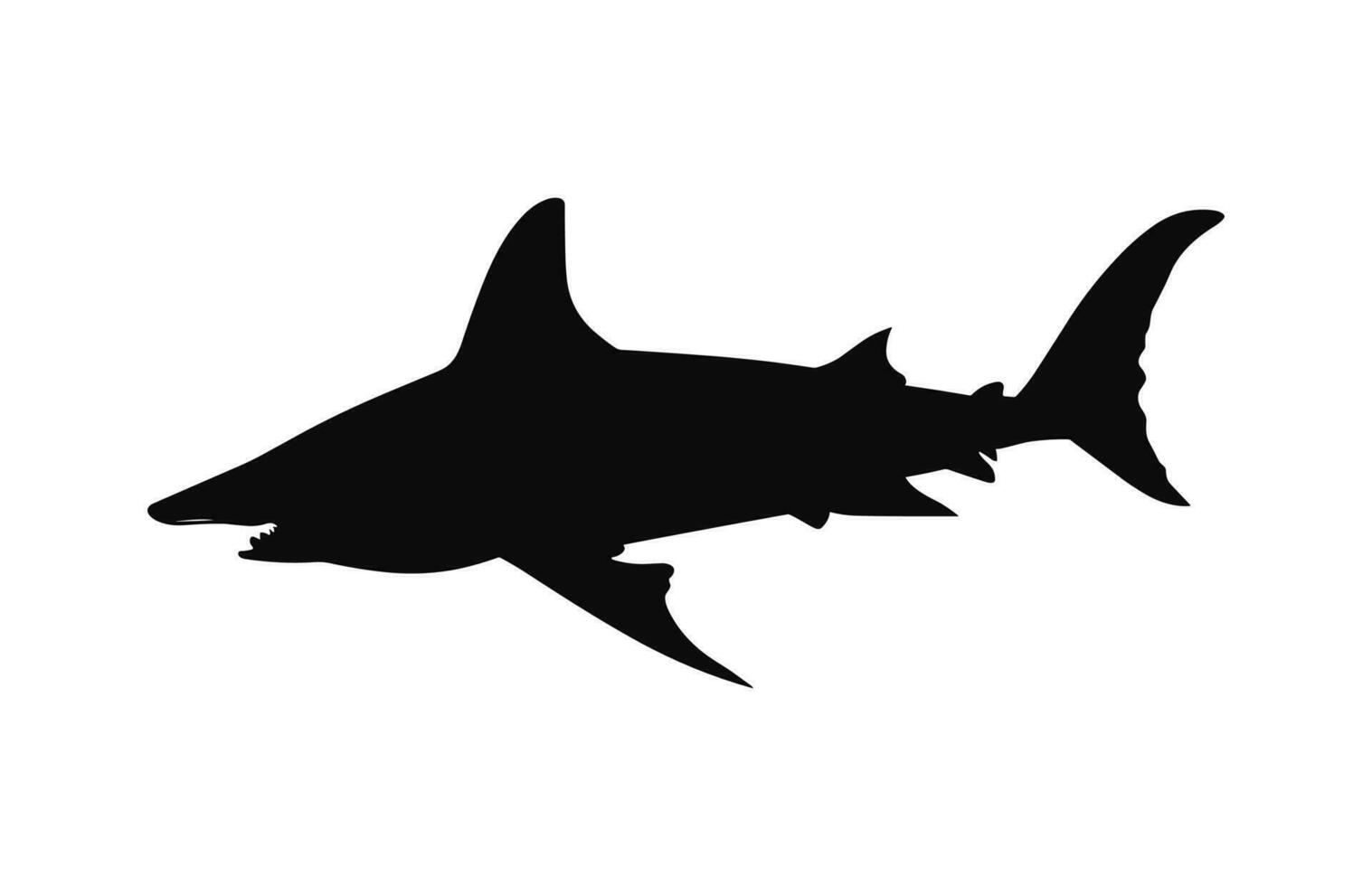 une marteau requin silhouette vecteur