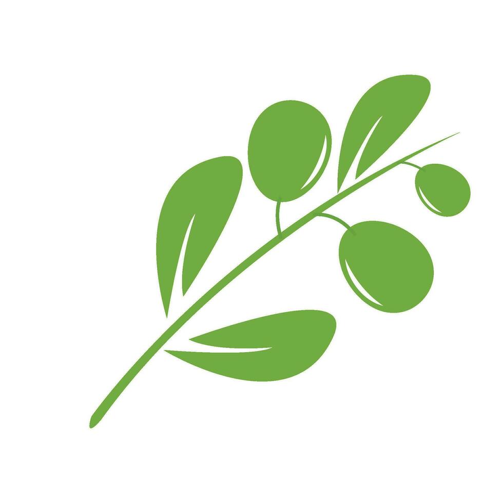 olive logo vektor vecteur