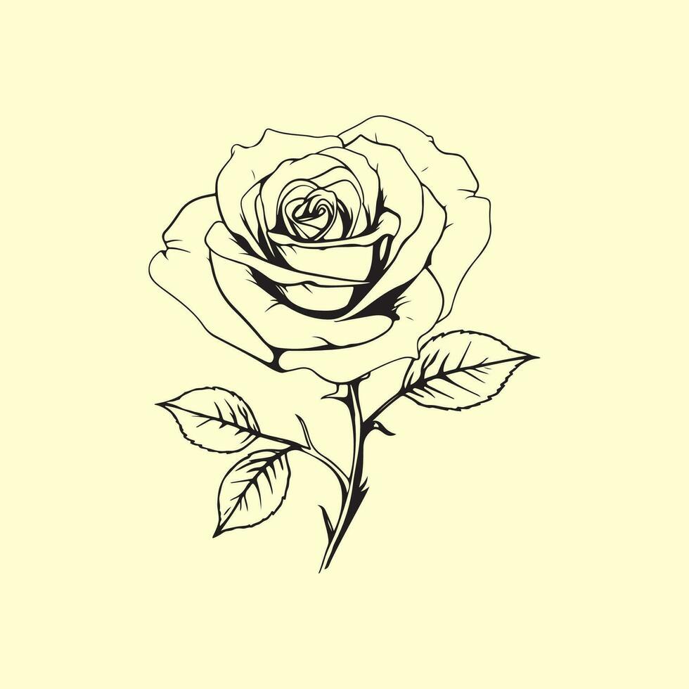 Rose image vecteur, illustration de une Rose vecteur