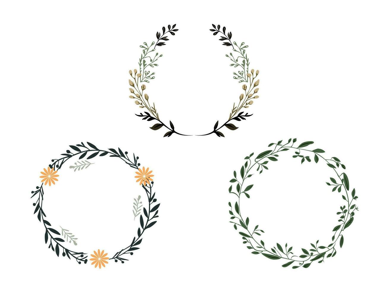 botanique cercle Cadre ensemble vecteur illustration