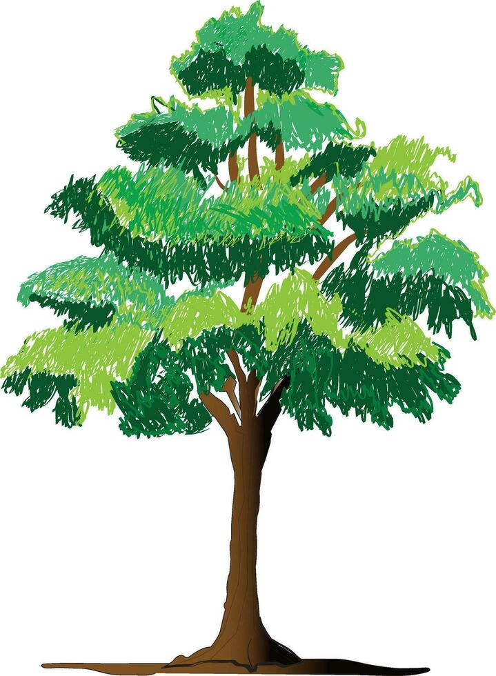 une gros arbre isolé vecteur illustration