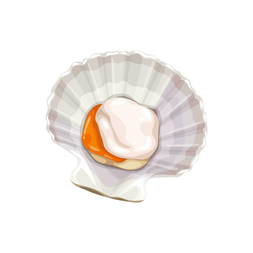 dessin animé fruit de mer, coquille mollusque, mer nourriture cuisine vecteur