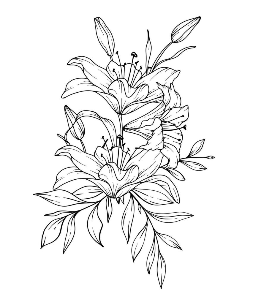 lis ligne dessin. noir et blanc floral bouquets. fleur coloration page. floral ligne art. bien ligne fleurs de lys illustration. main tiré fleurs. botanique coloration. mariage invitation fleurs vecteur