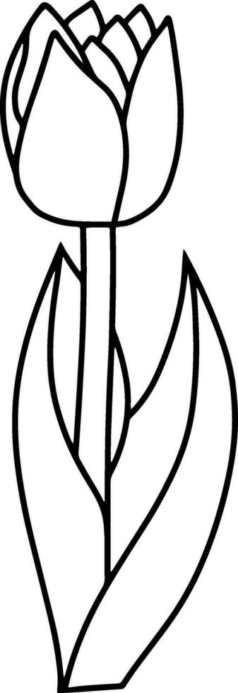 contour tulipe coloration page livre griffonnage fleur main tiré vecteur illustration