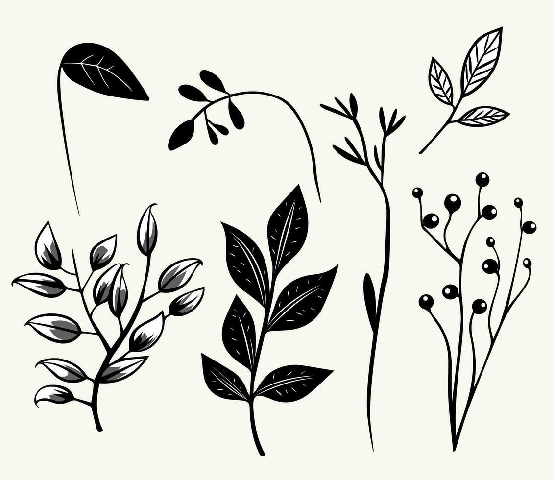 monochrome les plantes. feuilles, branches, floral éléments ensemble. contour botanique illustration. main tiré isolé les plantes. vecteur