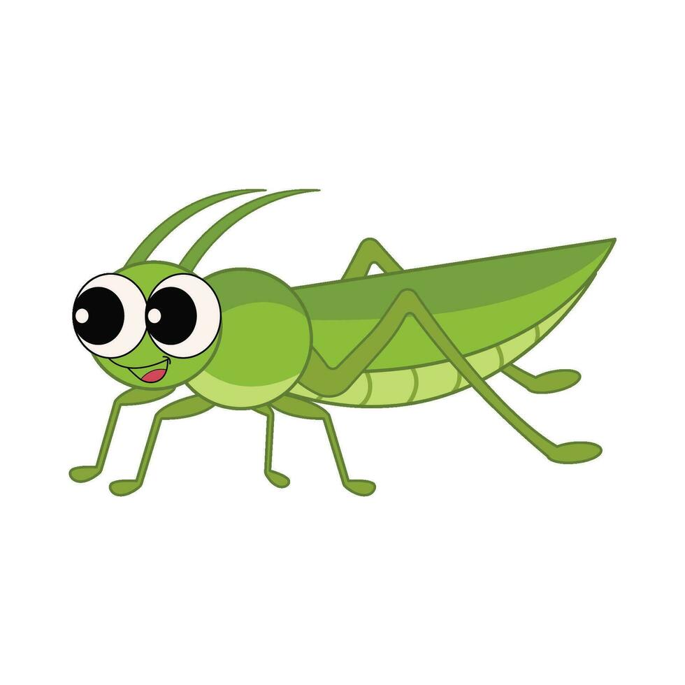 insecte animal illustration vecteur