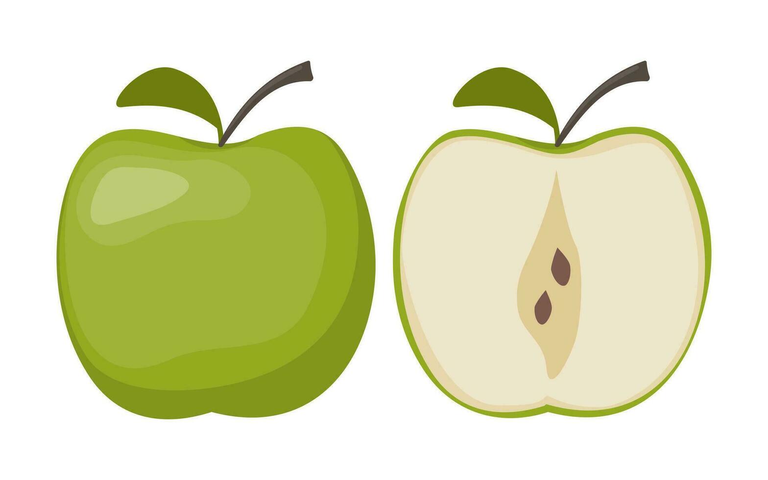 Pomme fruit. Pomme tranche et entier fruit. entier et moitié de vert Pomme fruit avec vert partir. vecteur illustration.