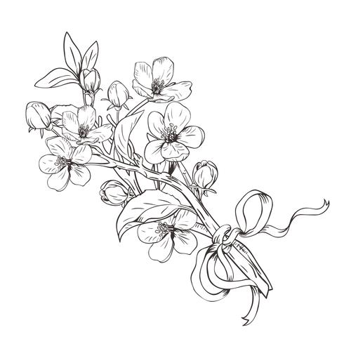 Arbre en fleurs. Bouquet de branches de fleurs botaniques dessinés à la main sur fond blanc. Illustration vectorielle vecteur