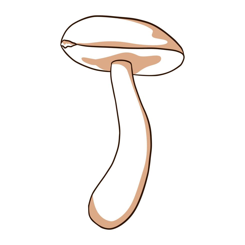 illustration de champignon comestible vecteur