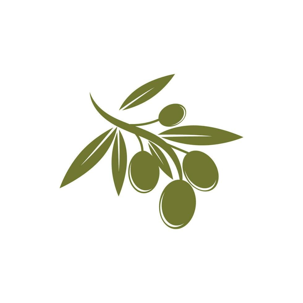 olive logo vecteur modèle symbole élément la nature