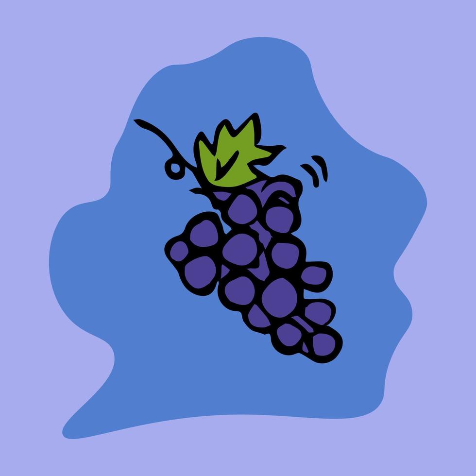 icône de raisin bleu doux isolé sur fond bleu. illustration vectorielle de griffonnage. icône dessinée à la main vecteur
