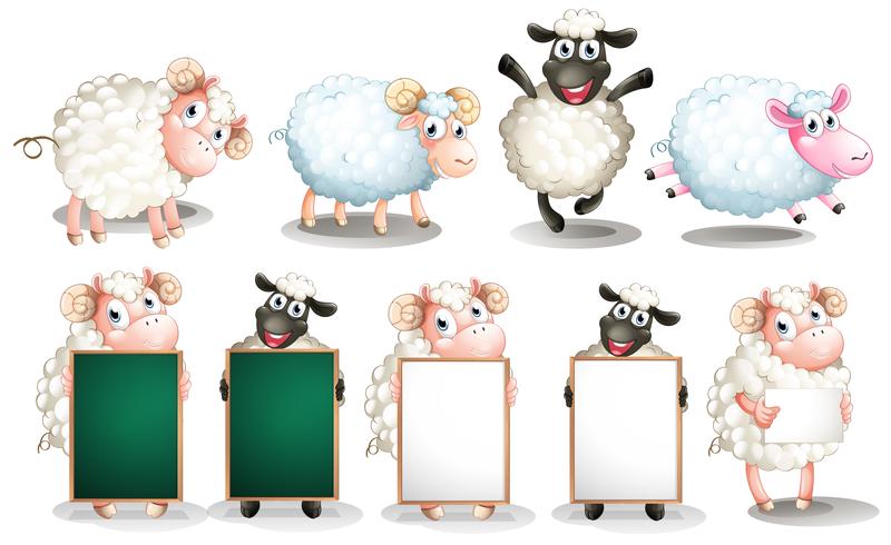 Ensemble de moutons vecteur