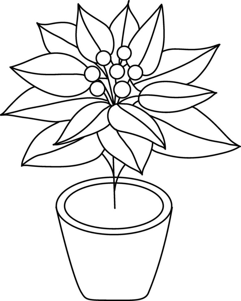 Noël étoile avec Facile griffonnage lignes est utilisé à complément Noël et Nouveau année oeuvres d'art. poinsettia, avec tous les deux fleurs et feuilles tiré comme une floral arrangement, est mis dans une pot pour Noël. vecteur