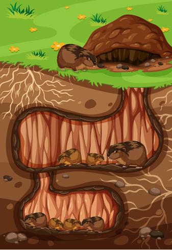 Une famille Lemming vivant sous terre vecteur