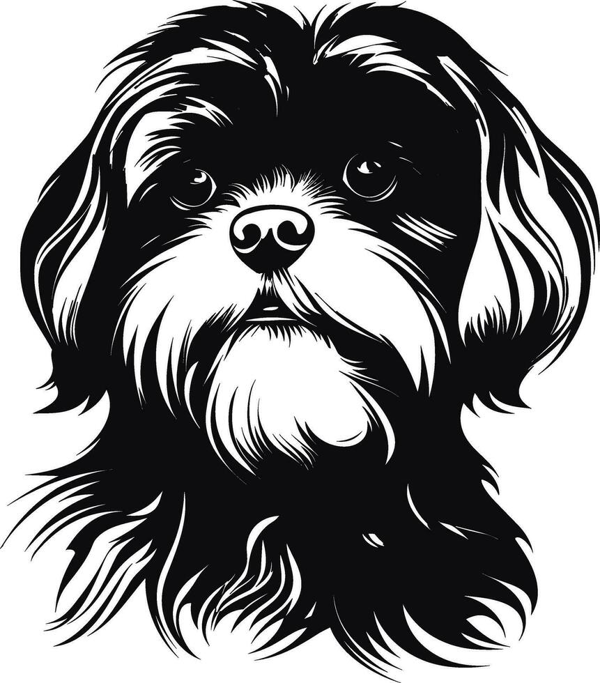 silhouette personnage shih tzu chien, mignonne logo. vecteur