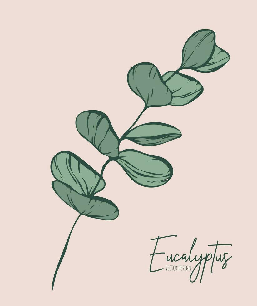 botanique élégant ligne illustration de une eucalyptus feuilles branche pour mariage invitation et cartes, logo conception, la toile, social médias et affiche, modèle, publicité, beauté et cosmétique industrie. vecteur